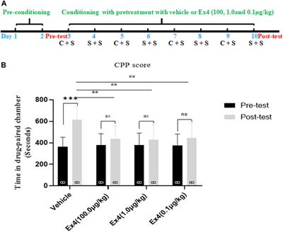 Glucagon-Like Peptide-1 Analog Exendin-4 Ameliorates Cocaine-Mediated Behavior by Inhibiting Toll-Like Receptor 4 Signaling in Mice